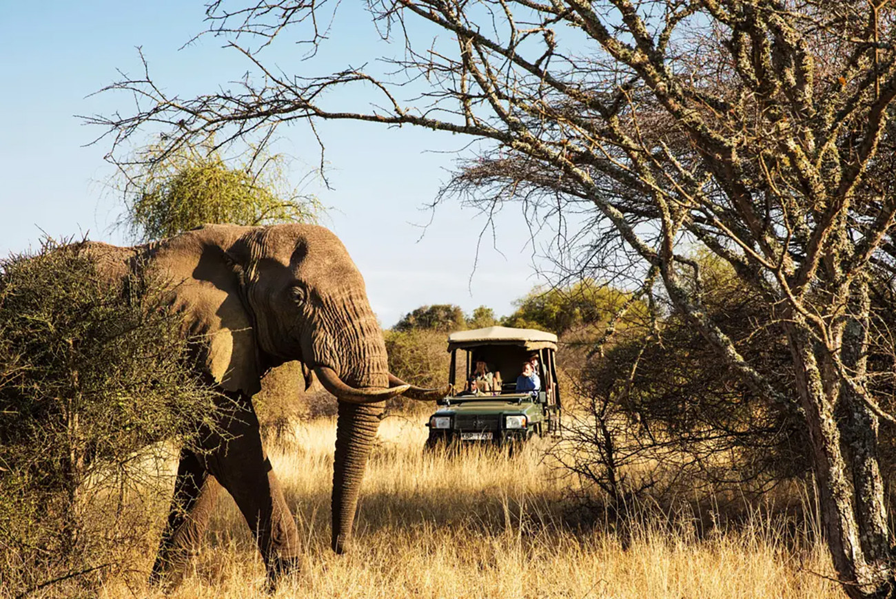 Safari e Cultura: Quênia com Propósito